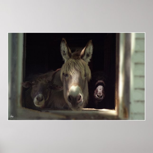 The Curious Trio Poster (Front)