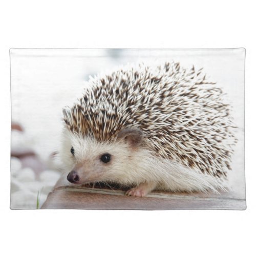 The Cute Baby Hedgehog Cloth Placemat