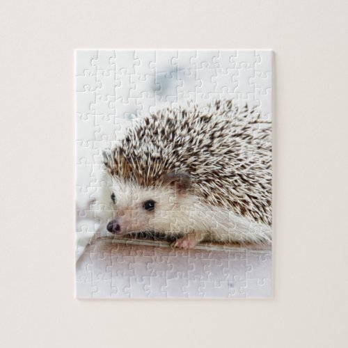 The Cute Baby Hedgehog Jigsaw Puzzle