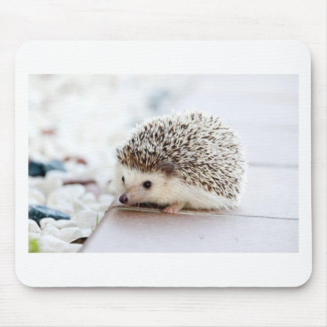 The Cute Baby Hedgehog Mouse Pad (Front)