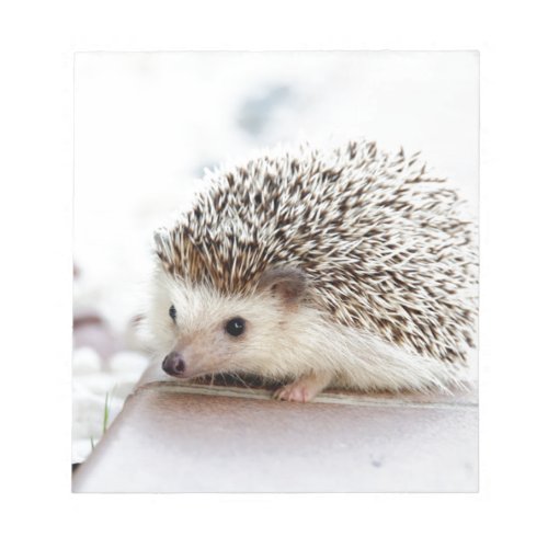 The Cute Baby Hedgehog Notepad