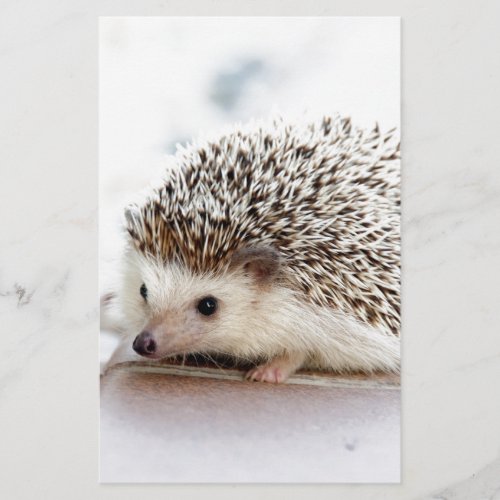 The Cute Baby Hedgehog Stationery