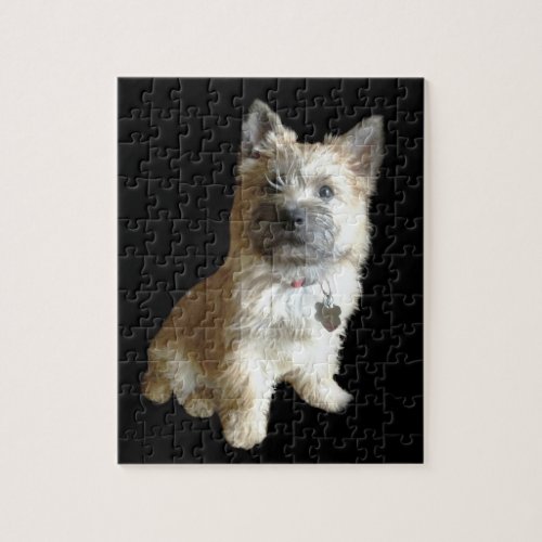 The Cutest Cairn Terrier Ever  Cuter than Toto Jigsaw Puzzle