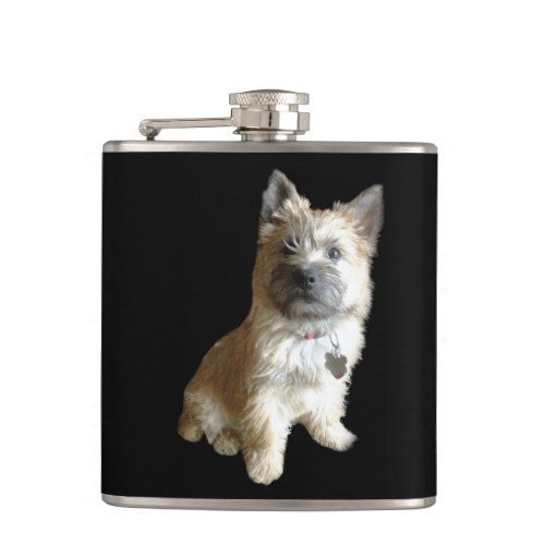 The Cutest Cairn Terrier Ever  Cuter than Toto W Flask