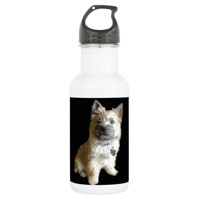 The Cutest Cairn Terrier Ever!  Cuter than Toto! Water Bottle (Front)