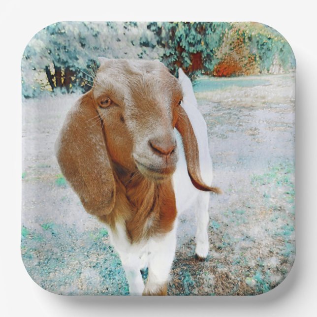 The Cutest Goat - Paper Plate (Front)
