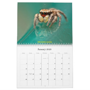  iPhone 11 Jumping Spider Whisperer Funny Pet Jumping Spider  Meme Case : Cell Phones & Accessories