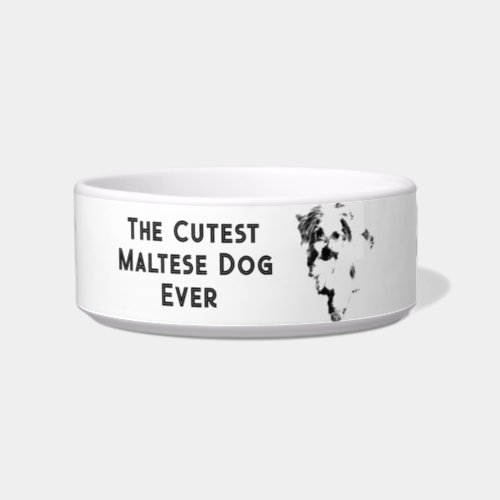 The Cutest Maltese Dog Ever Bowl