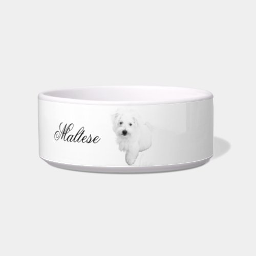 The Cutest Maltese Puppy Dog Ever Bowl