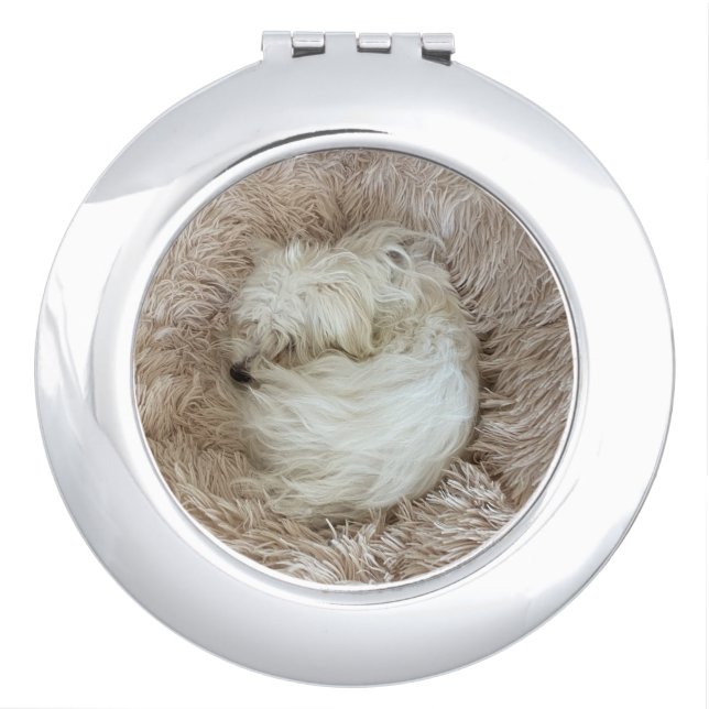 The Cutest Maltese Puppy Dog Ever Compact Mirror (Front)