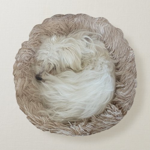 The Cutest Maltese Puppy Dog Ever Round Pillow