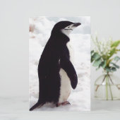 The Cutest Penguin, Ever (Standing Front)