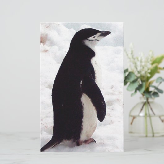 The Cutest Penguin, Ever (Standing Front)