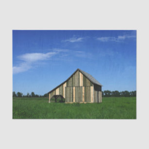 The Cutest Striped Barn Ever! Tissue Paper