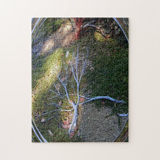 The cycle of Life... Jigsaw Puzzle (Vertical)