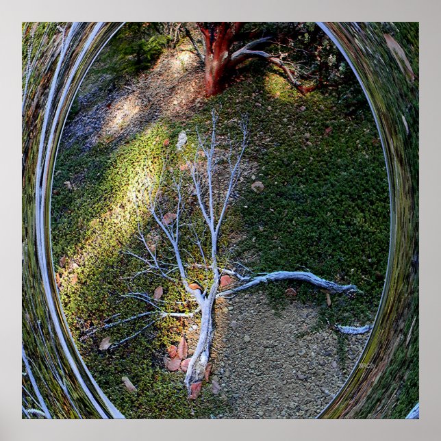 The cycle of Life.... Poster (Front)