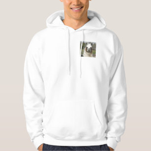 THE DAILY LAMA HOODIE