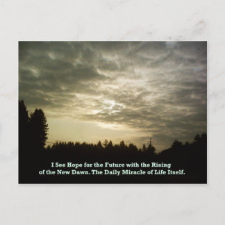 The Daily Miracle postcard