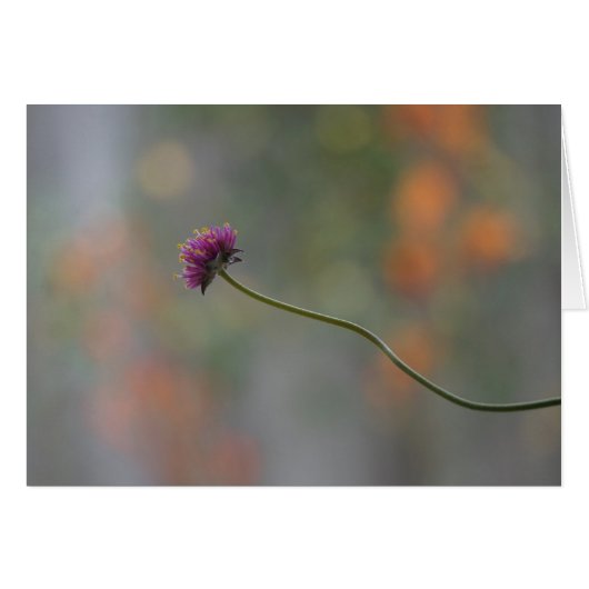 the dance (Front Horizontal)