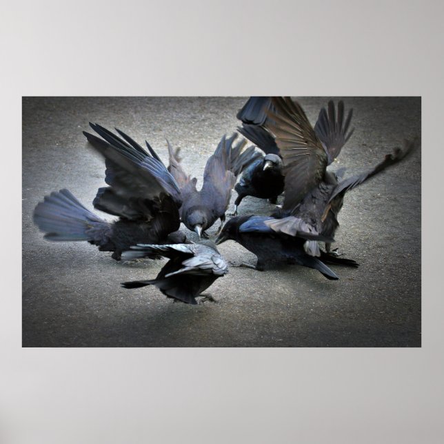 The Dance of the Crows Poster (Front)