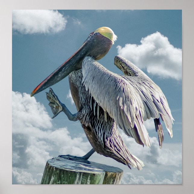 The Dancing Pelican Poster (Front)