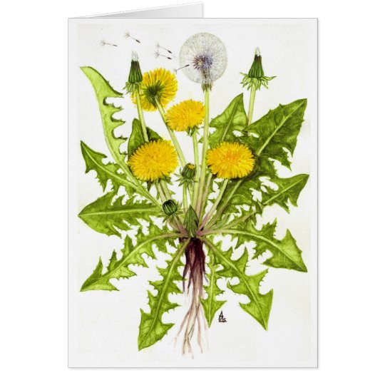 The Dandelion Collection Card
