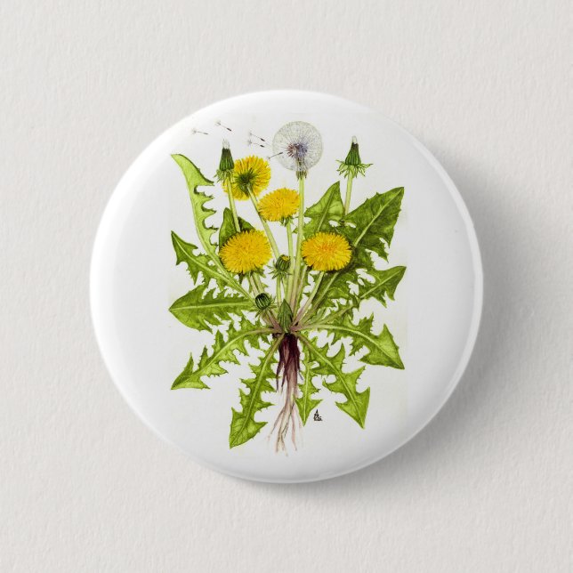 The Dandelion Collection Pinback Button (Front)