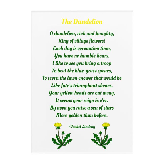 The Dandelion, Cute Poem Acrylic Print (Front)