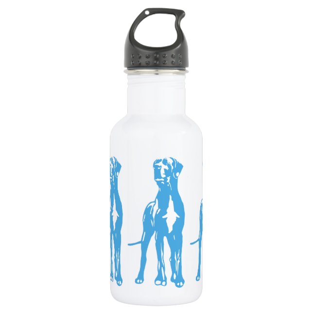 The Dane Water Bottle (Front)