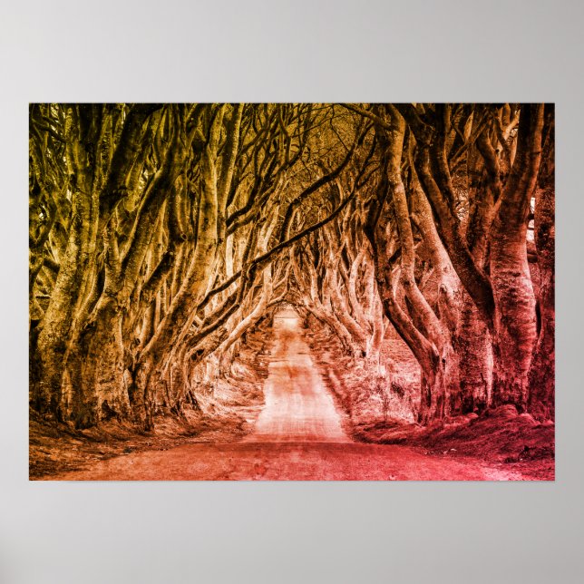 THE DARK HEDGES, CO. ANTRIM, NORTHERN IRELAND POSTER (Front)
