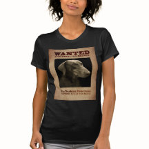 The Dashing Doberman