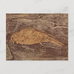 The Dead Bird Postcard
