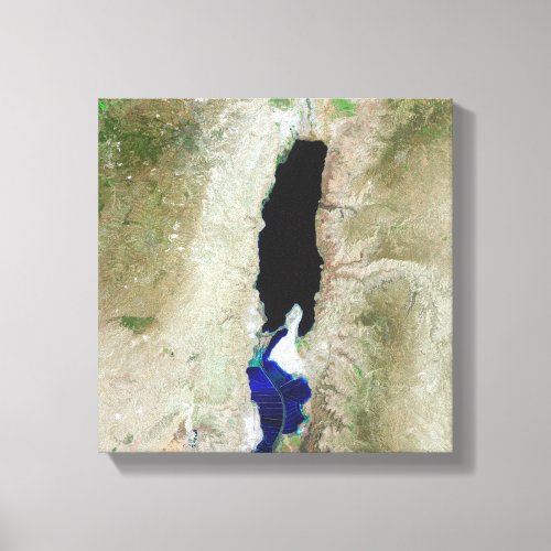 The Dead Sea Canvas Print