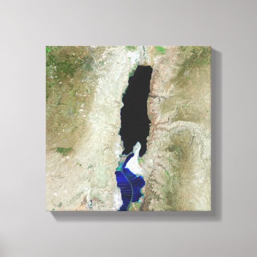 The Dead Sea Canvas Print