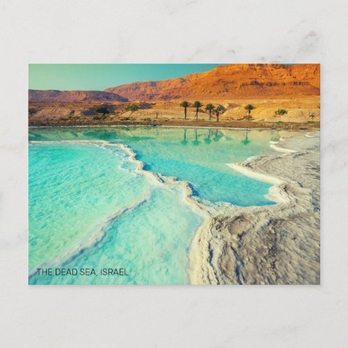 THE DEAD SEA ISRAEL POSTCARD