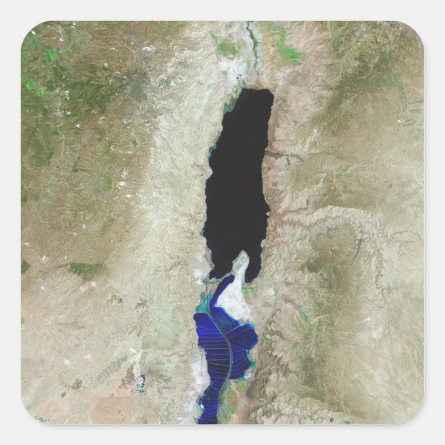 The Dead Sea Square Sticker (Front)