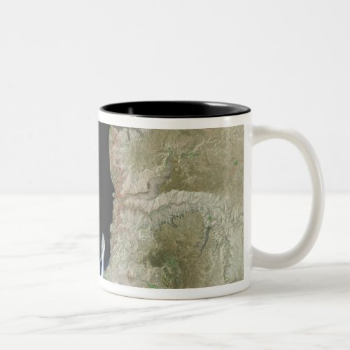 The Dead Sea Two_Tone Coffee Mug