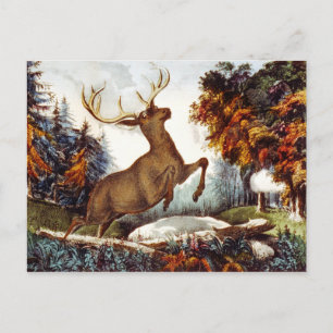 The Death Shot Postcard