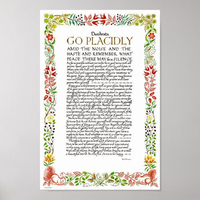The Desiderata Poem by Max Ehrmann Wildflowers Poster (Front)