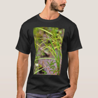 The developing ear of rice, a symbol of fertility  T-Shirt