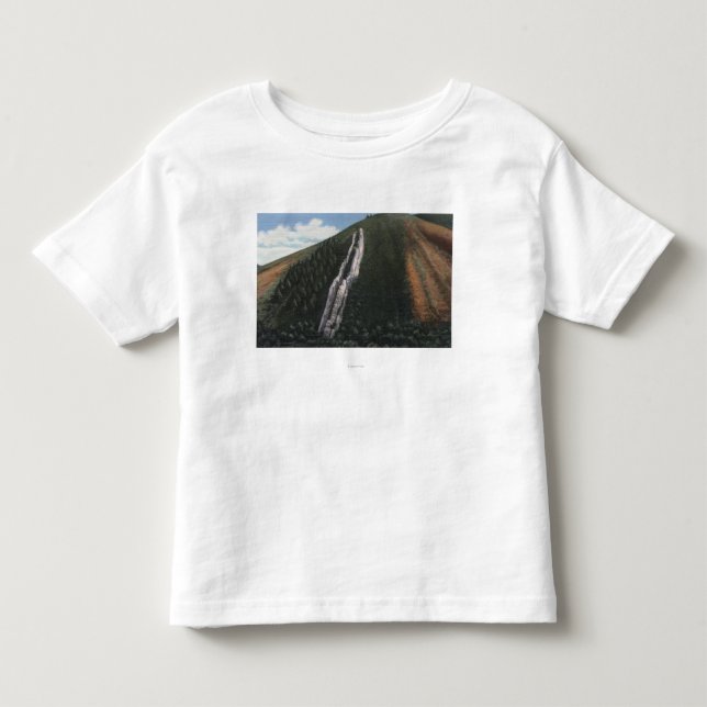 The Devil's Slide near Utah-Wyoming Border Toddler T-shirt (Front)