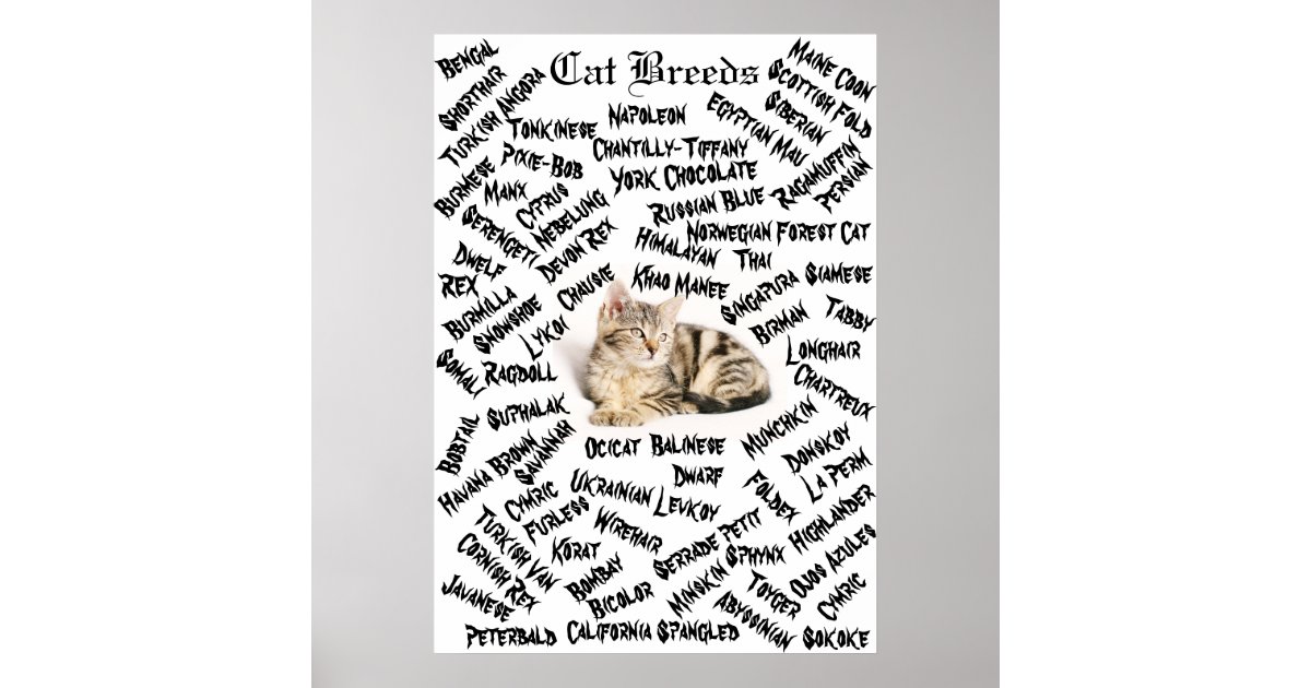 Vintage Bengal Cat Knowledge Canvas Poster, Bengal Cat