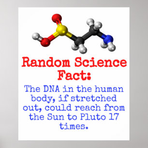 The DNA In The Human Body - Science Fact Poster