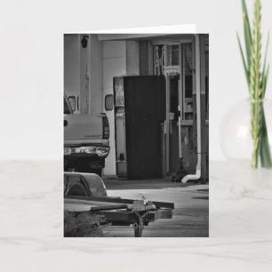 "The Doctor is in at 10, 2, and 4" Get Well Card