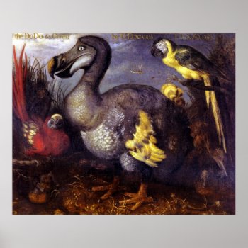 The Dodo And Friends Poster by OldArtReborn at Zazzle