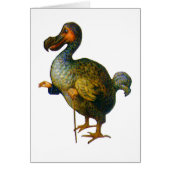The Dodo Bird (Front)