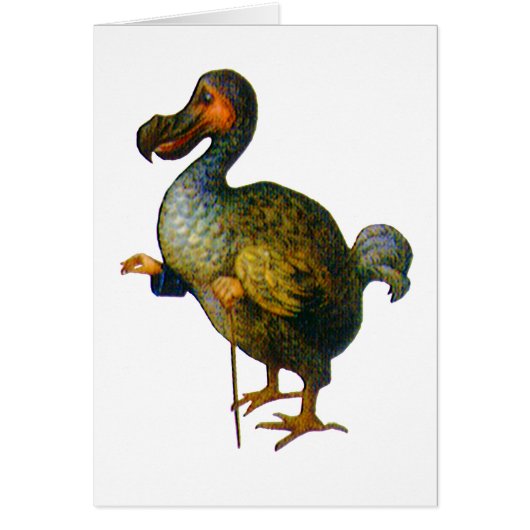 The Dodo Bird Cards (Front)