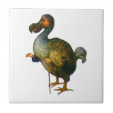 Funny dodo bird cartoon illustration ceramic tile | Zazzle