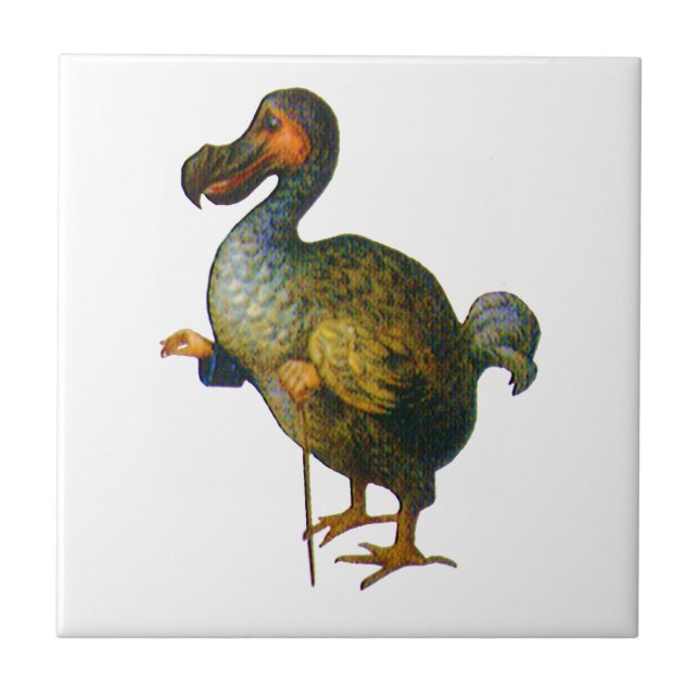 The Dodo Bird From Alice in Wonderland Tile (Front)