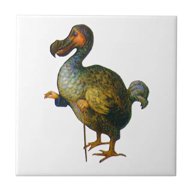 Alice In Wonderland Ceramic Tile Art Meets Dodo Bird Color